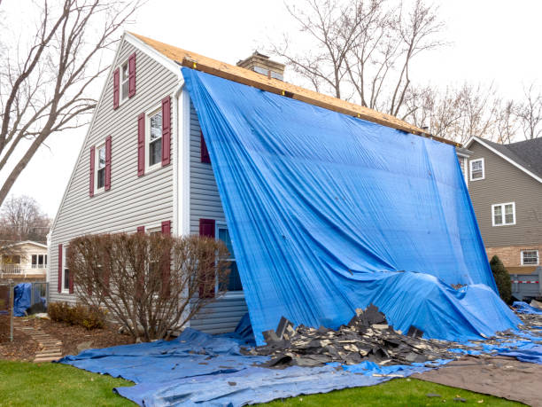 Best Storm Damage Siding Repair  in Great Notch, NJ