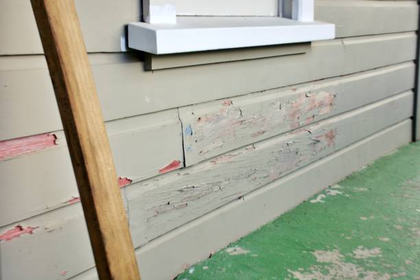Best Custom Siding Design  in Great Notch, NJ